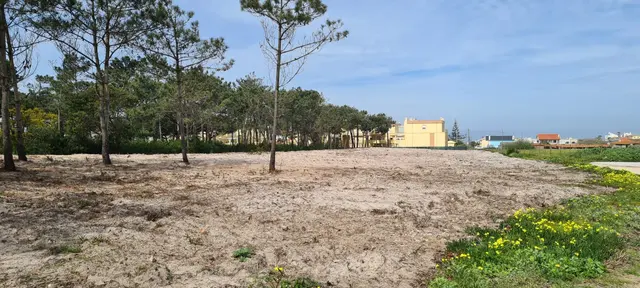 Terreno Urbanizável Santa Cruz | Torres Vedras