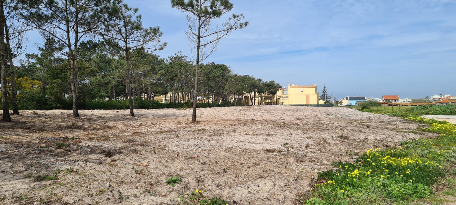 Terreno Urbanizável Santa Cruz | Torres Vedras